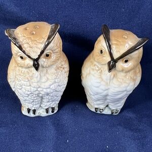 Owl Salt Pepper Shakers Pair Vintage Decorative Kitchen Glazed Rustic Woodland